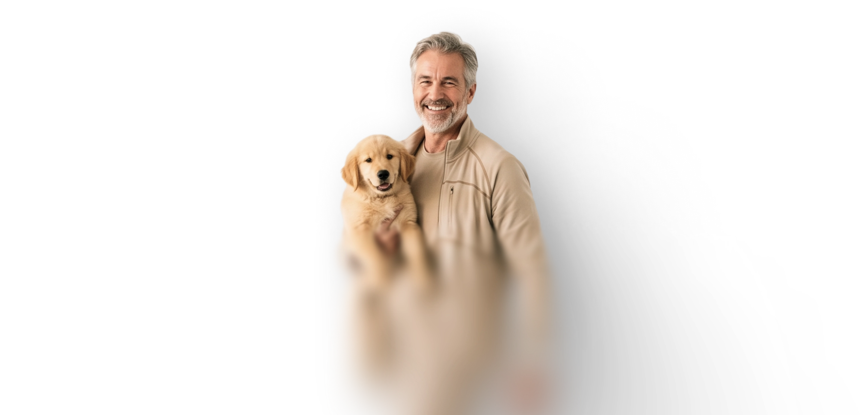 Dog walking